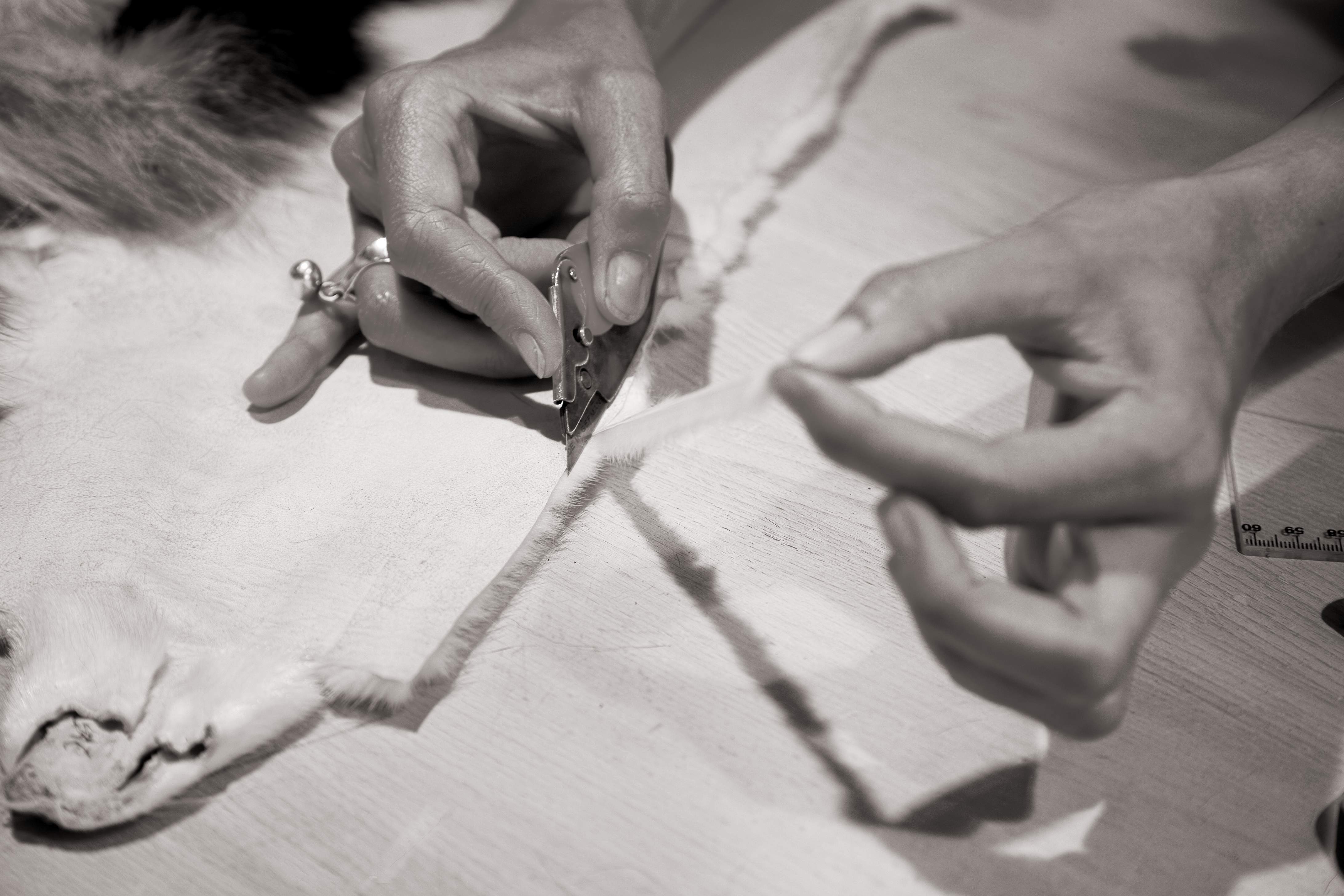 Alteration - Image 6
