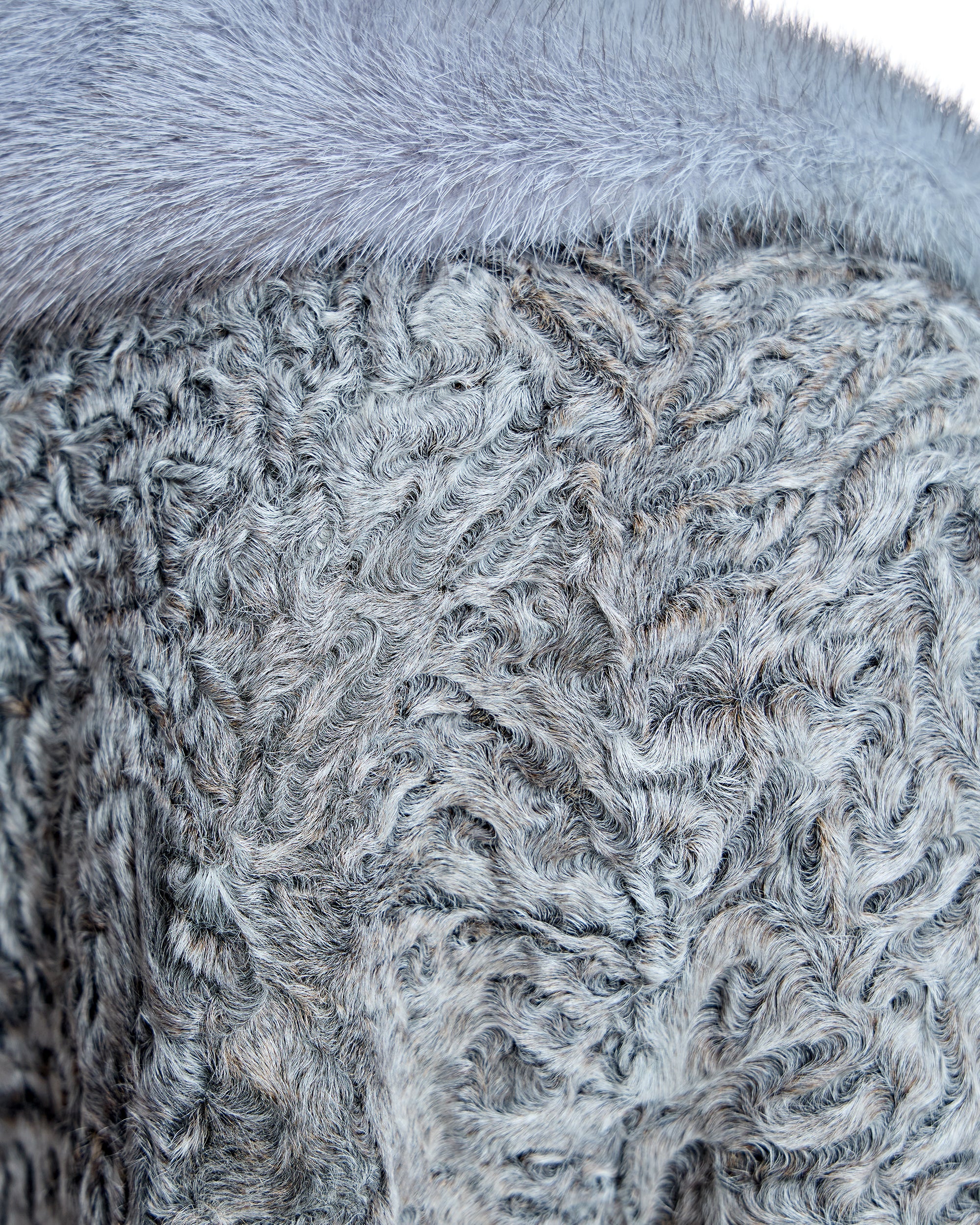 Swakara Lamb Jacket with Mink Notch Collar-Maximilian - Image 13